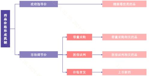 全球創新藥定價模式解析 信息咨詢服務概覽